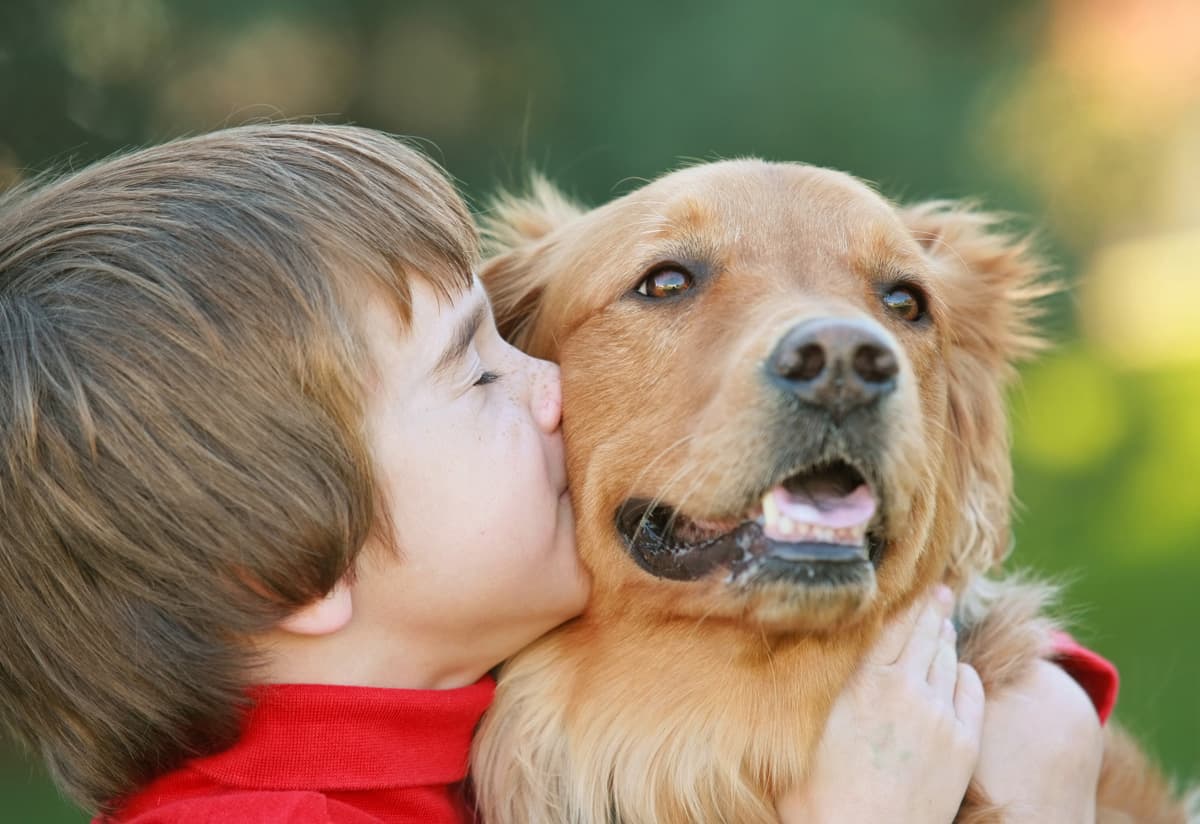 Servizos veterinarios e tenda de mascotas